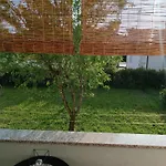 Novis
